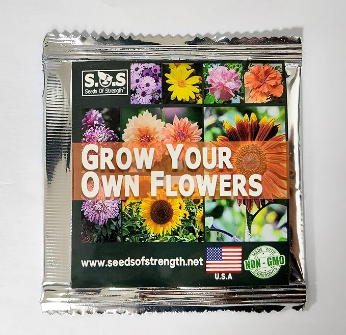 Daisy Garden 100Pcs Rare Purple Sunflower Seeds Beautiful Flower Home Garden Ornament
