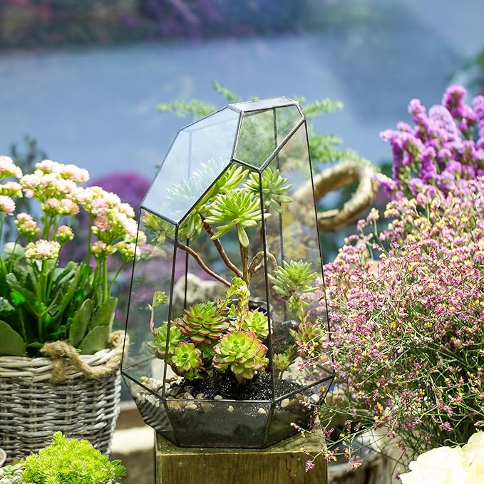 NCYP No Door Large Geometric Terrarium - 16 Inches Irregular Open Glass Terrarium Pot for Tall Cacti, Tall Succulents - Home Garden Tabletop Decoration (NO Plants)