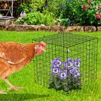 Adnee 7 Pack Wire Plant Protector with Cover-12x12x12 Inch Detachable Square Wire Cages to Prevent Animals-Metal Garden Plant Protector Cages for Protecting Plants Vegetables Flowers