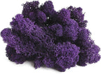 SuperMoss (21798) Reindeer Moss – Soft Preserved Moss for Home Decor, Crafts, Terrariums, Floral Design, and Wedding Decorations, 2,588 cu in, Purple