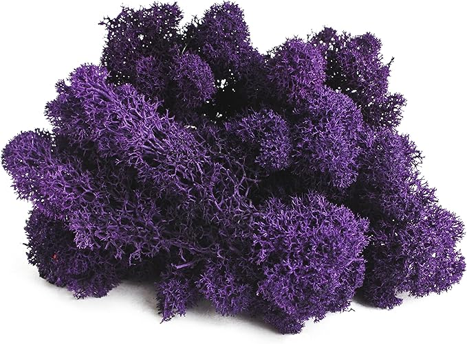 SuperMoss (21798) Reindeer Moss – Soft Preserved Moss for Home Decor, Crafts, Terrariums, Floral Design, and Wedding Decorations, 2,588 cu in, Purple