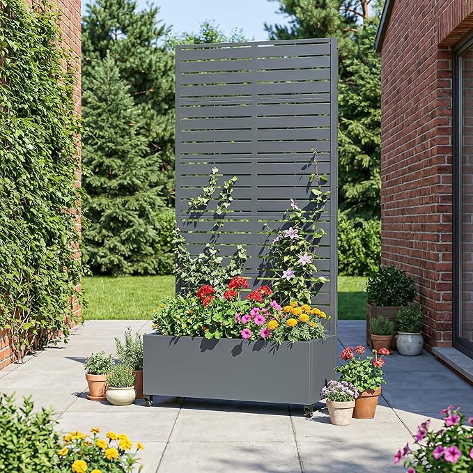 Casaphoria Metal Raised Garden Bed with Trellis and Wheels, 72"x35"x16" Planter Box for Climbing Plants, Vegetables & Vines, Features Drainage Holes and Privacy Screen, Drakgrey-Louvered