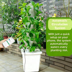 Hydroponic Growing System Kit - Hydroponic Tower Indoor Smart Vertical Garden,Hydroponic Vegetable System,35 Pods, Automatic Timer, Gardening Gift