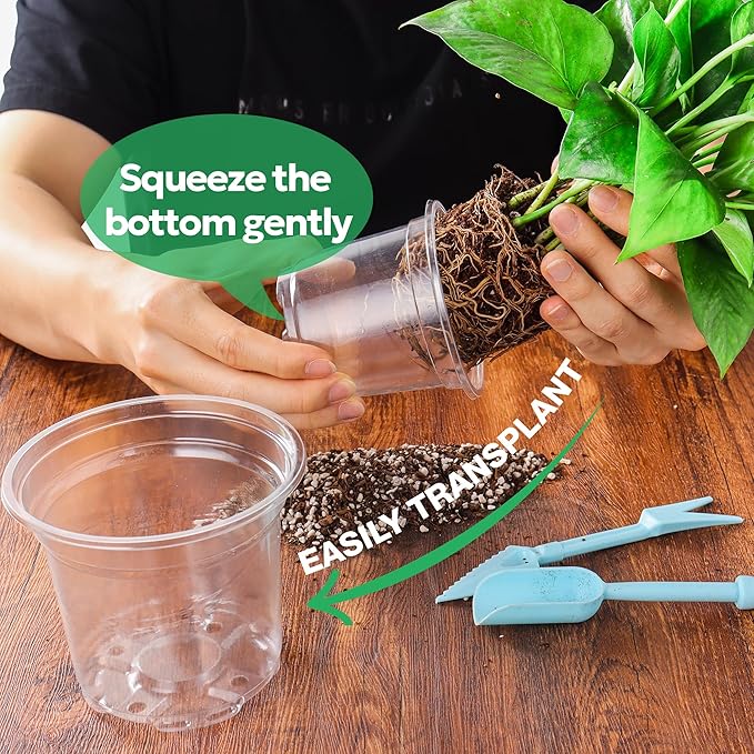 Bluepro 30 Packs 5 Inch Reinforced Clear Nursery Pots with Drainage Holes, Transparent Plastic Plant Pot Seedling Planter for Vegetable Propagation, Root Cutting, Seed Starting