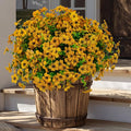 AXYLEX Artificial Fall Flowers for Outdoors Fake Mums - 16 Bundles Faux Plants Outside Greenery Boxwood No Fade Plastic Shrubs Decor Farmhouse Home Garden Thanksgiving (Yellow)