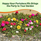 Outsidepride Happy Hour Mixed Moss Rose Seeds - 500 Pcs Annual, Drought & Heat Tolerant, Pollinator Friendly Ground Cover Seeds for Planting w/Vibrant Blooms & Succulent Foliage, for Xeriscaping