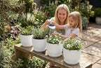 8 Inch Plant Pots Set of 2, Plastic Planters with Drainage Holes and Tray, Flower Pots for Indoor Outdoor Plants and Flowers (White)