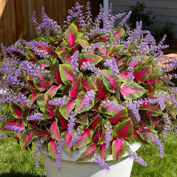12 Bundles Artificial Coleus Flowers | UV Resistant No Fade Silk Faux Plants | Spring Summer Outdoor Fake Greenery for Garden Patio Planters Front Porch Pathway Decor (Pink)