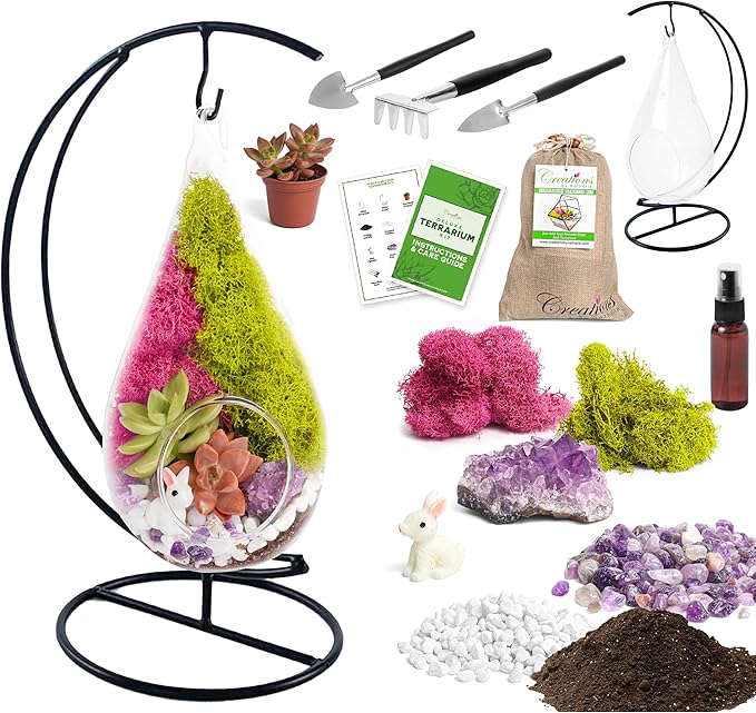 Creations by Nathalie DIY 7" DIY Teardrop Terrarium Kit - Build Your Own Glass Terrarium for Adults & Teens with Moss, Crystals, Tools & Decor - Handcrafted in the USA (Live Plant Included)