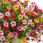 INXUGAO Artificial Fake Flowers Plants for Outdoor Spring Summer Decor, 12 Bundles Faux Silk Flowers for Outdoor Outside Planter Colorful Daisy UV Resistant Look Real for Front Door Porch Patio Yard