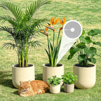 10Pcs Plant Pot Grids, Plant Protector from Cats, Cuttable Breathable Soil Covers Protectors from Animals, Reusable Mesh Guard for Indoor Outdoor Potted Plants & Garden