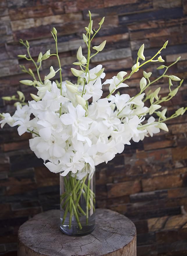 KaBloom - Exotic Perla Orchid Bouquet Of Fresh Orchids with Free Vase Included - Fresh Flowers for Birthday, Valentine's & Mother's Day