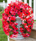 HyeFlora Bougainvillea Artificial Hanging Flowers Plants for Outdoors Decoration, 2pcs Fake Flowers Silk Bougainvillea Vines Realistic UV Resistant Faux Flowers for Outdoor Planters Porch Patio, Mix
