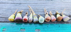 Limited Pack of 10 Various Live Exotic Lithops Plant Miniature Rare Living Stone Seedling Guarantee Colorful and Beautiful