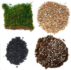 Succulent Planter Kit - Terrarium Kit with Succulent Soil, Gravel, Pebble, Moss,
