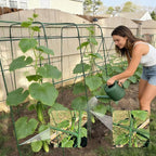 Miory Cucumber Trellis, 63" Tall U Shape Trellis for Raised Bed, Garden Arch Trellis for Climbing Plants Outdoor, Plant Support for Vegetables Vines, Steel with PE Coated (48“Lx32”Wx63“H)