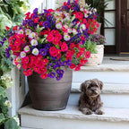 Artificial Flowers Outdoor Morning Glory - 16 Bundles Fake Plants UV Resistant No Fade Faux Plastic Greenery Home Garden Porch Decoration Indoor (1, Multi16-3)