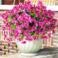 Artificial Flowers for Outdoor, UV Resistant Fake Silk Pansies Flowers, Realistic Faux Plants for Outside Indoor Porch Patio Window Box Planter Home Decor (16, Pink)