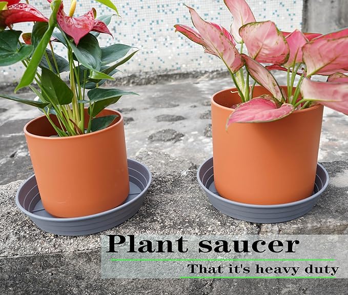 LWALRS Plant Saucer 14 Inch 4 Pack 6 8 10 12 14 16 18 20 25, Plastic Plant Trays for Pots，Extra-Deep Plant Water Dray Tray, Bird Bath Bowl, Heavy Flower Plant Saucers Indoors and Outdoor No Holes
