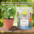 Live Citronella Geranium Plants (2-Pack); Pelargonium Citronella Scented Potted Plants