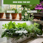 Medicinal Herb Seeds Variety Pack – Calendula, Echinacea, Lemon Balm, Hyssop & Lovage – 15 Varieties, 2950+ Non-GMO Heirloom Seeds, Indoor & Outdoor Growing