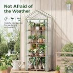 4 Tier Bamworld Mini Greenhouse for Outdoor Indoor 22 x 16 x 66-Inch Portable Greenhouses with Reusable PE Cover Small Greenhouse Kit for Outside Heavy Duty Patio Wooden Greenhouse Tent