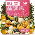 KVITER 50 Small Gourd Seeds Mix (Cucurbita Pepo) – Ornamental Fall Decor Gourds, Non GMO & Organic – Perfect Heirloom Seeds for Planting Decorative Gourds in Vegetable Garden