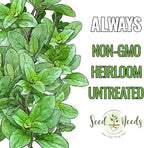 Seed Needs Sweet Basil & Italian Oregano Seeds for Planting Fresh Kitchen Herbs - Non-GMO Heirloom & Untreated Perennial & Annual Herb Seed to Plant a Culinary Garden Indoors or Outdoors (2 Pack Duo)