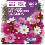 KVITER 3000 Mix Sensation Cosmos Seeds (Cosmos Bipinnatus) – Tall Cosmo Mix in Seed Packets, Butterfly Favorite, Non GMO Seed – Annual Flower Seeds for Outside, Outdoor Flower Garden, Ideal Cut Flower