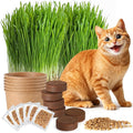 6 Pack Natural Cat Grass Seeds Growing Kit, Easy Growing Pet Grass for Cat & Kittens Indoor Garden, Fresh Cats Grass Set for Chewing, Quick Germination, Ideal for Beginners, Pet Safe