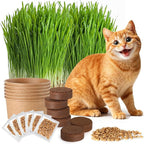 6 Pack Natural Cat Grass Seeds Growing Kit, Easy Growing Pet Grass for Cat & Kittens Indoor Garden, Fresh Cats Grass Set for Chewing, Quick Germination, Ideal for Beginners, Pet Safe