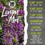 Seed Needs Herb Seeds for Planting a Collection of 6 Medicinal Herbs - Non-GMO Heirloom & Untreated Tea & Infusion Varieties (Chamomile, Lemon Balm, Spearmint, Anise Hyssop, Lemon Mint & Catmint)