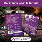 KVITER 20,000 Creeping Thyme Seeds (Thymus Serpyllum) – Wild Thyme, Aromatic Ground Cover, Purple Perennial Flower Seed Packets – Great Non GMO Herb Seeds for Outdoor Garden, Landscapes & Paths