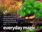 2HR Aquarist All-in-one Aquarium Plant Fertilizers APT 3 / Complete (300ml)