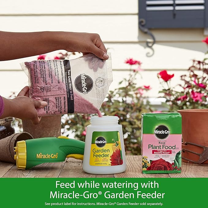 Miracle-Gro Rose Plant Food Rose Fertilizer (6 Pack), 1.5 lb