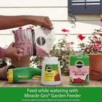 Miracle-Gro Rose Plant Food Rose Fertilizer (6 Pack), 1.5 lb