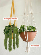 Light Green 8.8oz Artificial Floral Moss Fake Greenery Moss Faux Plant for DIY Crafts Fairy Garden Pot Filler Vase Greenery Decorating Project Indoor Model Making Walls Glass Decor Forlaoers