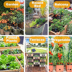 RISINGUP Solar Drip Irrigation System with Timer, Programmable Smart Watering with 2200mAh Battery, Automatic Plants Watering System for 30 Potted Plants Outdoor Garden, Patio, Balcony, Greenhouse