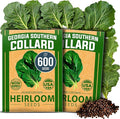HOME GROWN Georgia Southern Collard Green Seeds 600+ Heirloom Non-GMO Seeds for Planting, High Germination, Heat Tolerant Leafy Green, Slow to Bolt, Nutritious Southern Classic (Brassica oleracea)