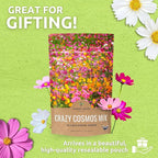 Cosmos Seeds Wildflower Mixture - Bulk Quarter Pound Bag - Over 20,000 Seeds - Pink, Yellow, Orange, Red, Purple and White Mixed Species!