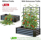 Galvanized Raised Garden Bed with Trellis for Climbing Plants Outdoor,Metal Vertical Garden Planter Box for Patio,Heavy Duty Elevated Garden Bed for Vegetables Tomatoes Cucumbers Flowers Herbs,Black
