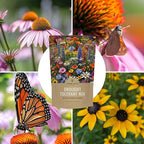 Drought Tolerant Wildflowers Mix – Bulk Quarter Pound Bag – Over 30,000 Open Pollinated Non-GMO Seeds – 21 Different Dryland Species