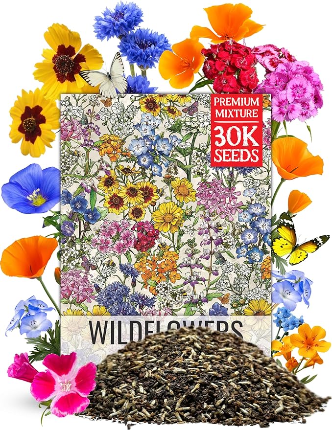 Seed Needs 2 Ounce Low Growing Wildflower Flower Seeds for Planting | Mixture/Blend 17 Varieties | Resealable Package Multicolored Blooms Open Pollinated Mixed Species | Bulk