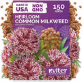 KVITER 150 Common Milkweed Seeds (Asclepias Syriaca)- Pink, Perennial Native Wildflower for Butterflies, Non GMO Seed - Heirloom Flower Seeds in Seed Packets for Outdoor Garden, Borders, Wild Areas