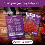 KVITER 2000 Red Cardinal Flower Seeds (Lobelia cardinalis) – Lobelia Garden Seeds for Planting, Cardinal Perennial Flower Seed Packets – Native Wildflower Plant for Outdoor Garden, Containers