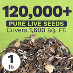 Bulk Wildflower Seeds Butterfly and Hummingbird Mix - 1 Pound Bag - Over 120,000 Open Pollinated Annual and Perennial Seeds