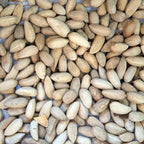 Neem Tree (Azadirachta Indica) - Packet of 3 Seeds