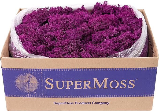 Super Moss (23169) Reindeer Moss Preserved, Fuchsia, 3lbs