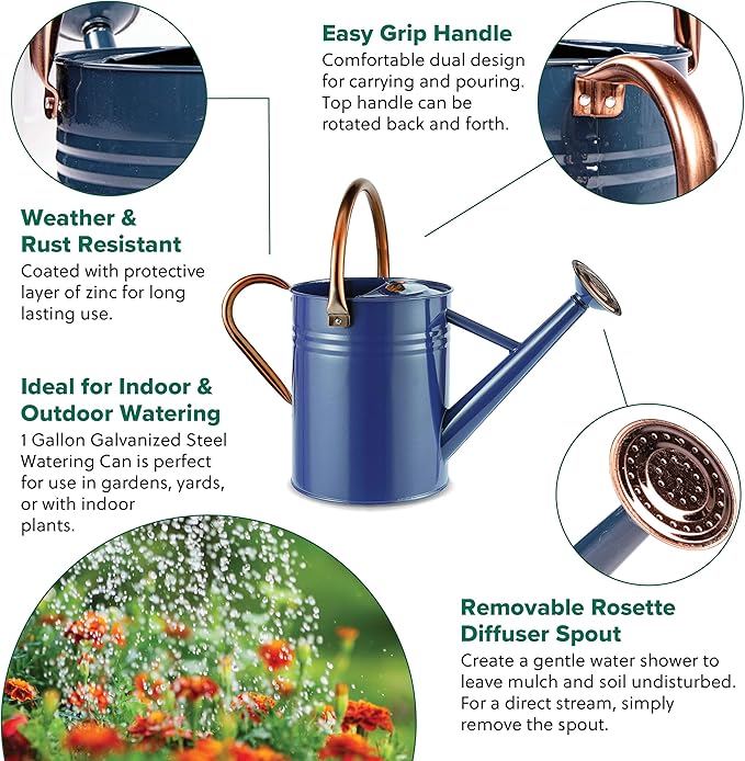 Gardman R34896 1 Gallon Watering Can, Midnight Blue