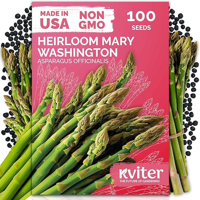KVITER 100 Mary Washington Asparagus Seeds (Asparagus officinalis) – Heirloom Non GMO Asparagas Seed Packets Rust Resistant Perennial – Aspergus Vegetable Seeds for Planting Outdoors, Home Garden